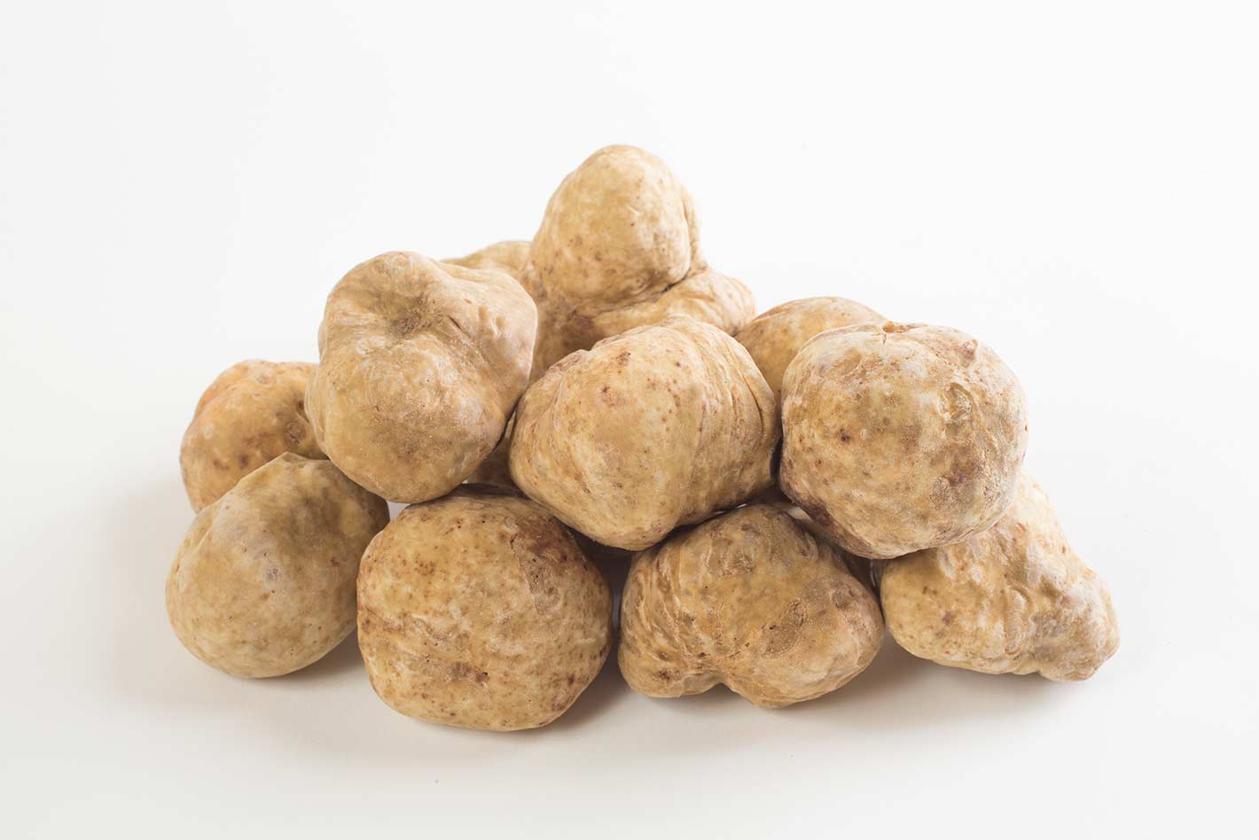 화이트 트러플 버섯