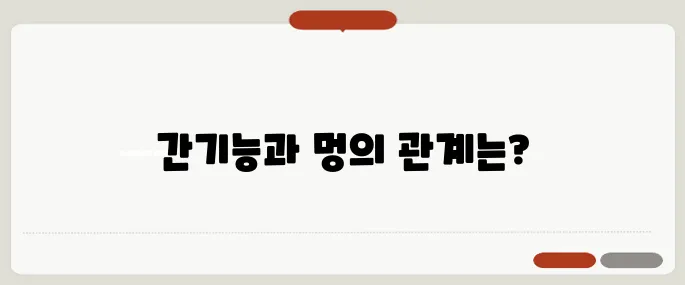 멍이 잘드는 이유 간기능과 연관 있는 경우도