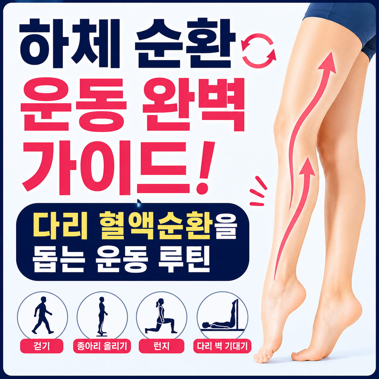 하체 순환 운동