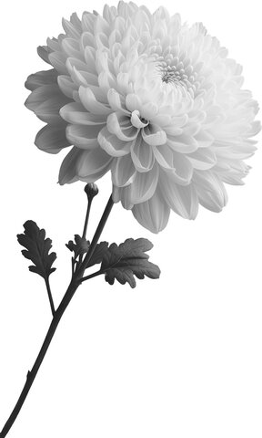 국가 애도기간 선포와 행동 수칙 : 행사, 회식, 공무원 등