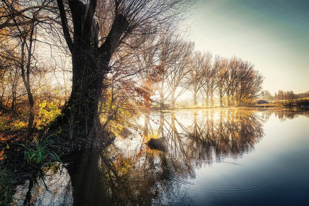 멜라토닌과 코르티솔의 균형이 무너지면 생기는 변화, 수면·스트레스 관리법