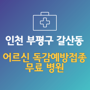 인천 부평구 갈산동 노인 독감예방접종 무료 병원 (인플루엔자 무료 접종 대상 날짜)