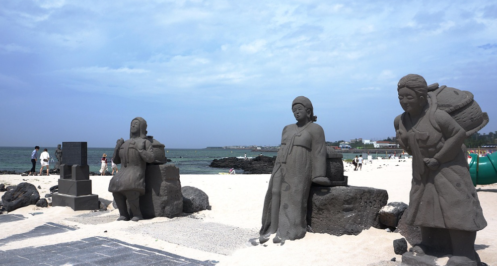 우리카드를 사용한 제주도 여행 사진
