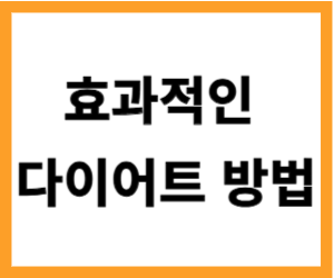 효과적인 다이어트 방법