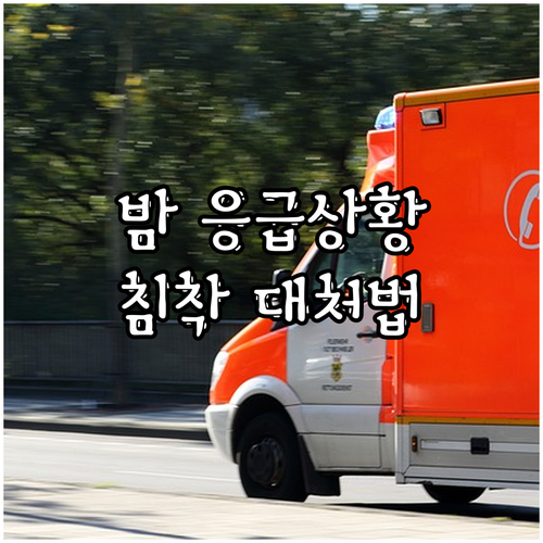 반려동물 야간 응급상황? 24시간 동