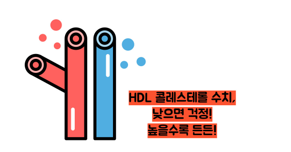 hdl콜레스테롤 정상수치