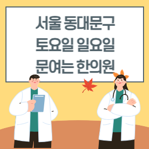 서울 동대문구 토요일 일요일 한의원 진료 병원 리스트