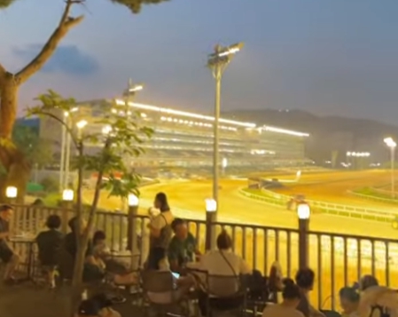 코리아스프린트 말 질주 장면