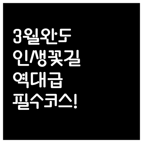 가장 먼저 만나는 봄 3월 완도 가볼..