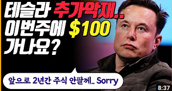 테슬라주가 전망