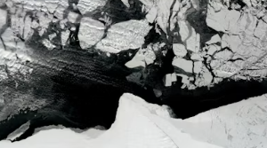 2025년 국민연금 인상률 2025년 국민연금 수령액 인상률