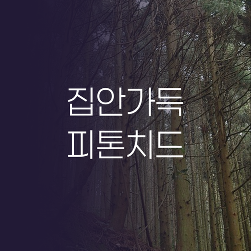 집안 가득 편백나무 향으로 리프레시!..