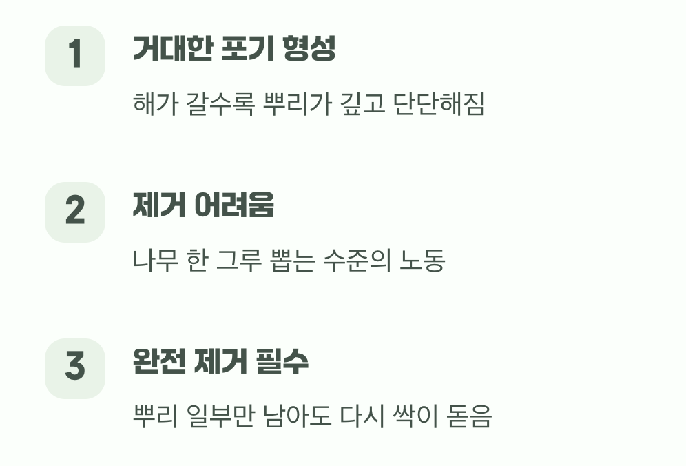 셋째&amp;#44; 땅속에 단단히 박힌 뿌리의 힘