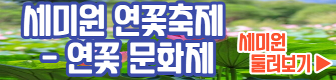 양평 세미원 연꽃축제 연꽃문화제 둘러보기