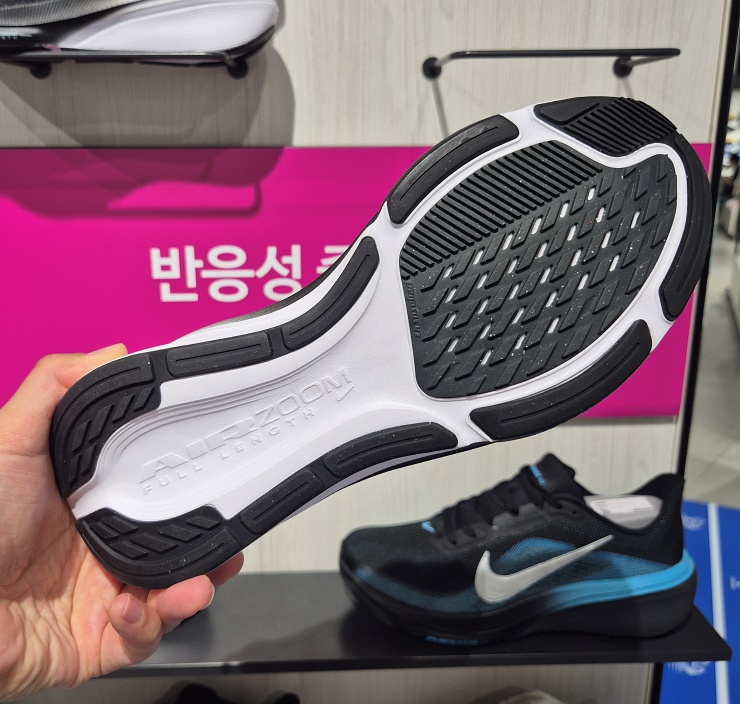 나이키 페가수스42 이지온 아웃솔