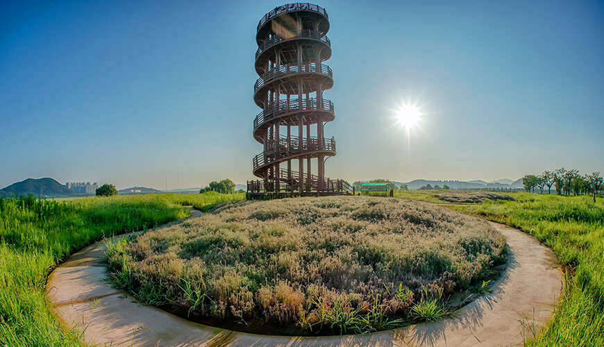 2024 억새축제 서울 하늘공원 억새축제 포천 명성산 억새축제 정선 민둥산 억새축제 시흥 갯골생태공원 억새 수원 방화수류정 억새 군락 억새축제 주차 정보 억새밭 사진 명소 억새축제 일정 2024 억새 관람 팁 억새축제 명소 추천 억새밭 가을 여행지