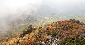 가야산단풍-8