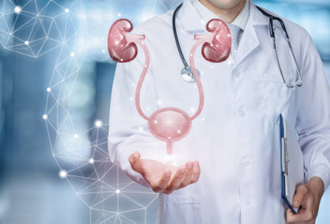 전립선 비대증 원인, 증상, 수술 총정리 (2024ver)