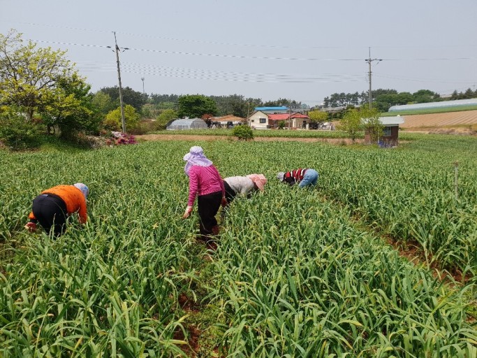 농업진흥지역 내 근로자 숙소&middot;무더위 쉼터 등 설치 가능해진다