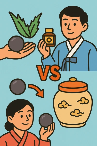 침향환 공진단 경옥고 차이점과 효능 비교17