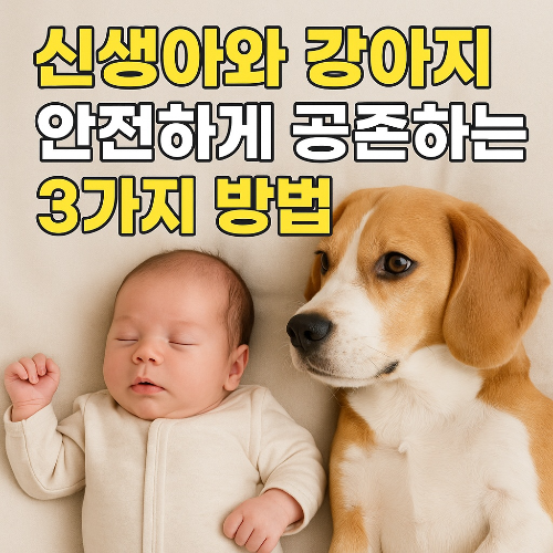 신생아와 강아지, 안전하게 공존하는 3가지 방법