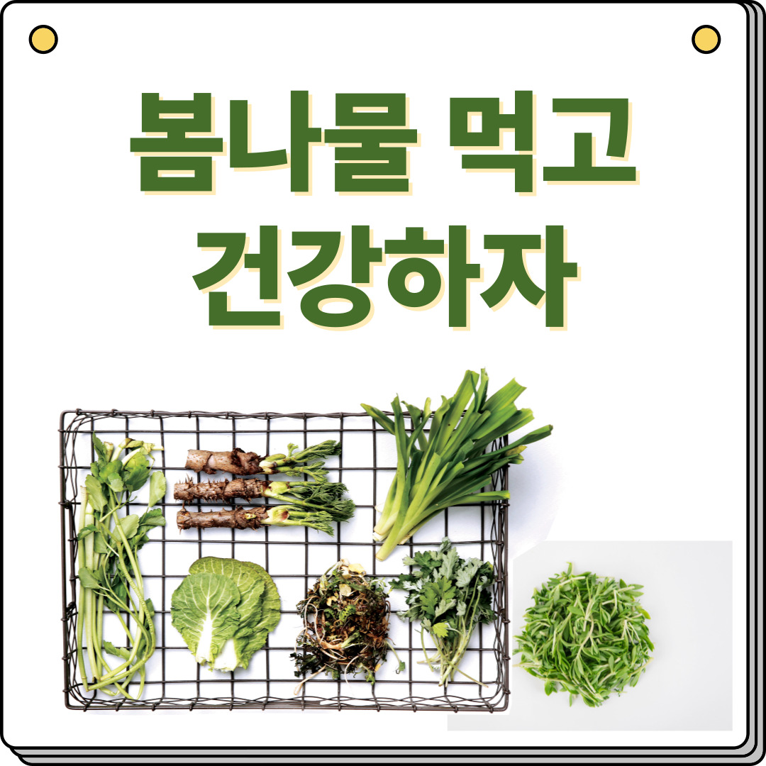 봄나물-종류
