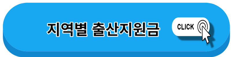 출산지원금