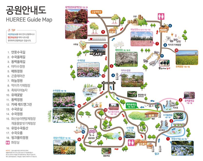 제주도 휴애리 수국축제 총정리