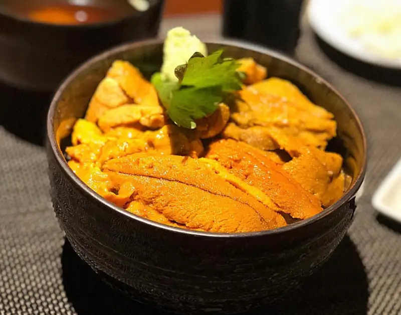 다이호시-우니동