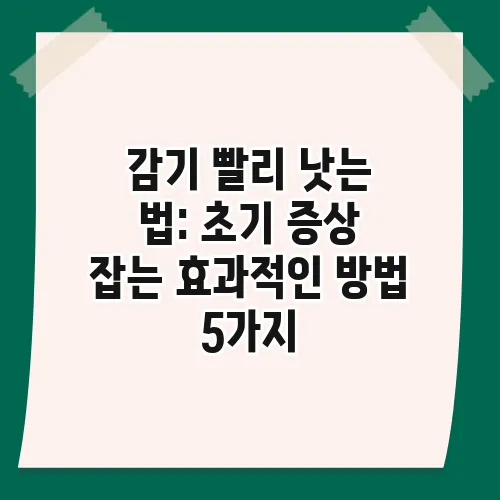 감기 빨리 낫는 법: 초기 증상 잡는 효과적인 방법 5가지