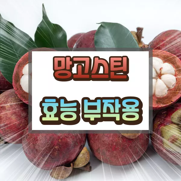 망고스틴 효능 부작용