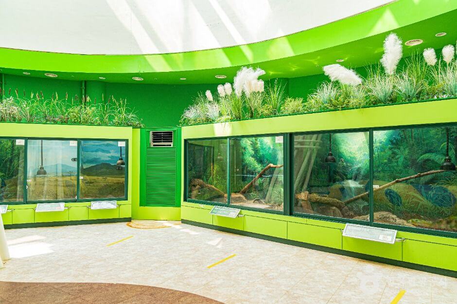 함평 가볼만한곳 베스트 10