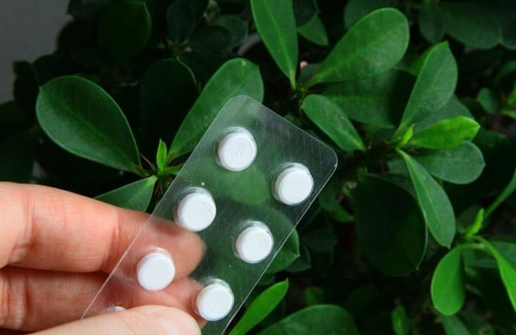 '세계 최초' 제약업계 알루미늄 제로 모노 소재 PET 사용