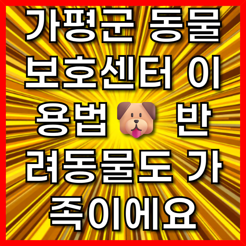 가평군 동물보호센터 이용법🐶 반려동물도 가족이에요
