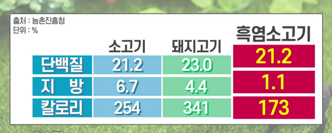흑염소 진액 효능