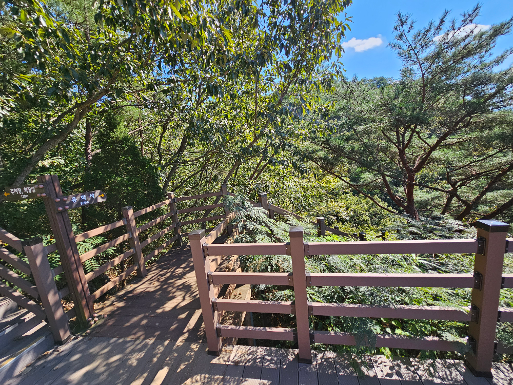 용화사 가는 길