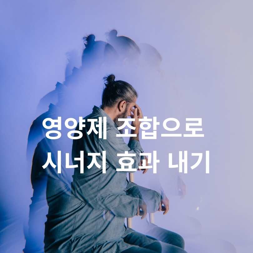 치매 예방 영양제 완전 가이드