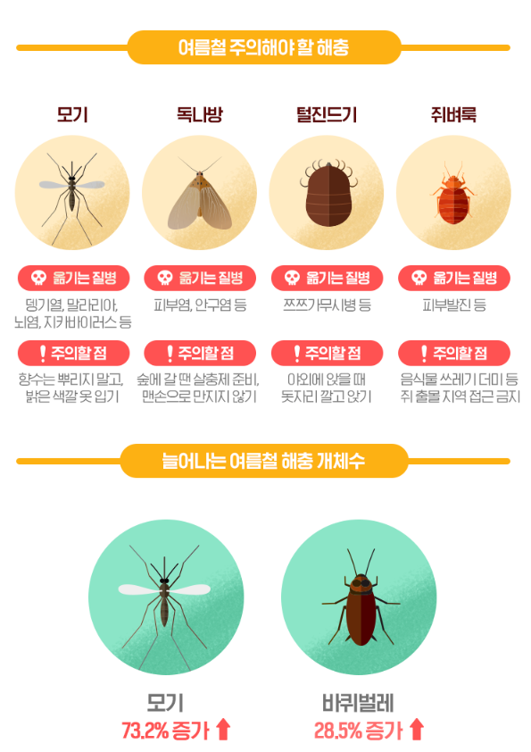 여름해충 여름철해충 퇴치방법