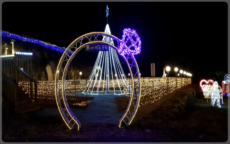 고니골 빛축제_15