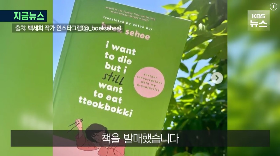 죽고 싶지만 떡볶이는 먹고 싶어 백세희 작가 사망