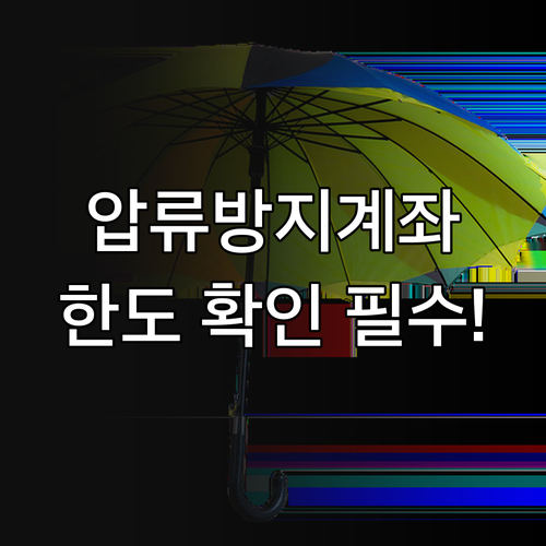 압류방지전용계좌 입금자별 관리 포인트..