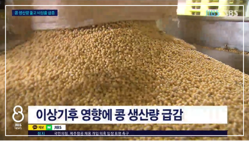 이상기후에 제주 콩 생산량 급감