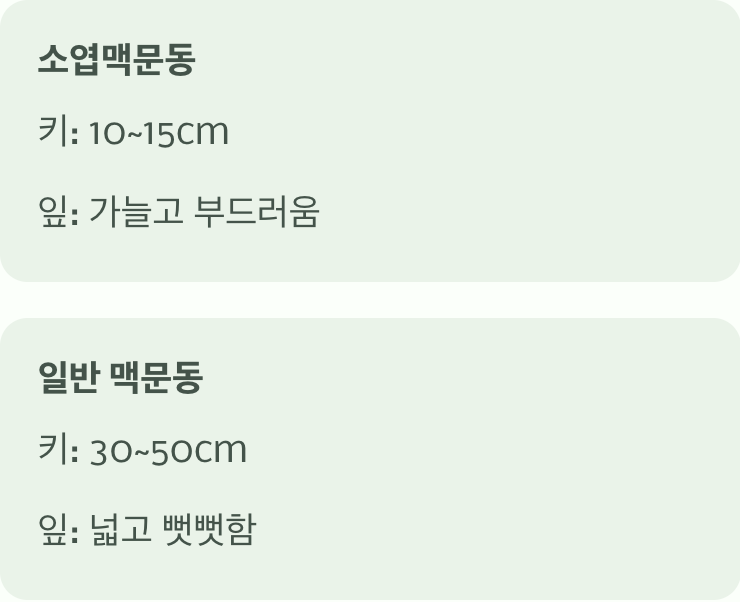 가장 큰 차이점&amp;#44; &amp;#39;키&amp;#39;와 &amp;#39;덩치&amp;#39;
