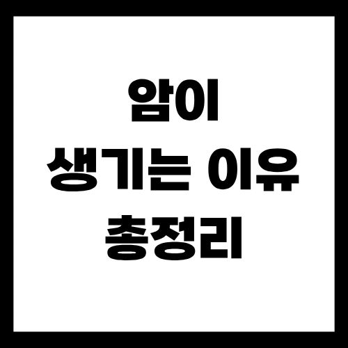 암이 생기는 이유