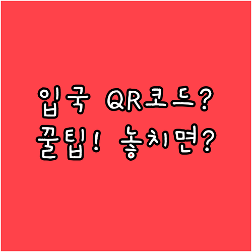 중국 입국 QR코드 작성부터 사용까지..