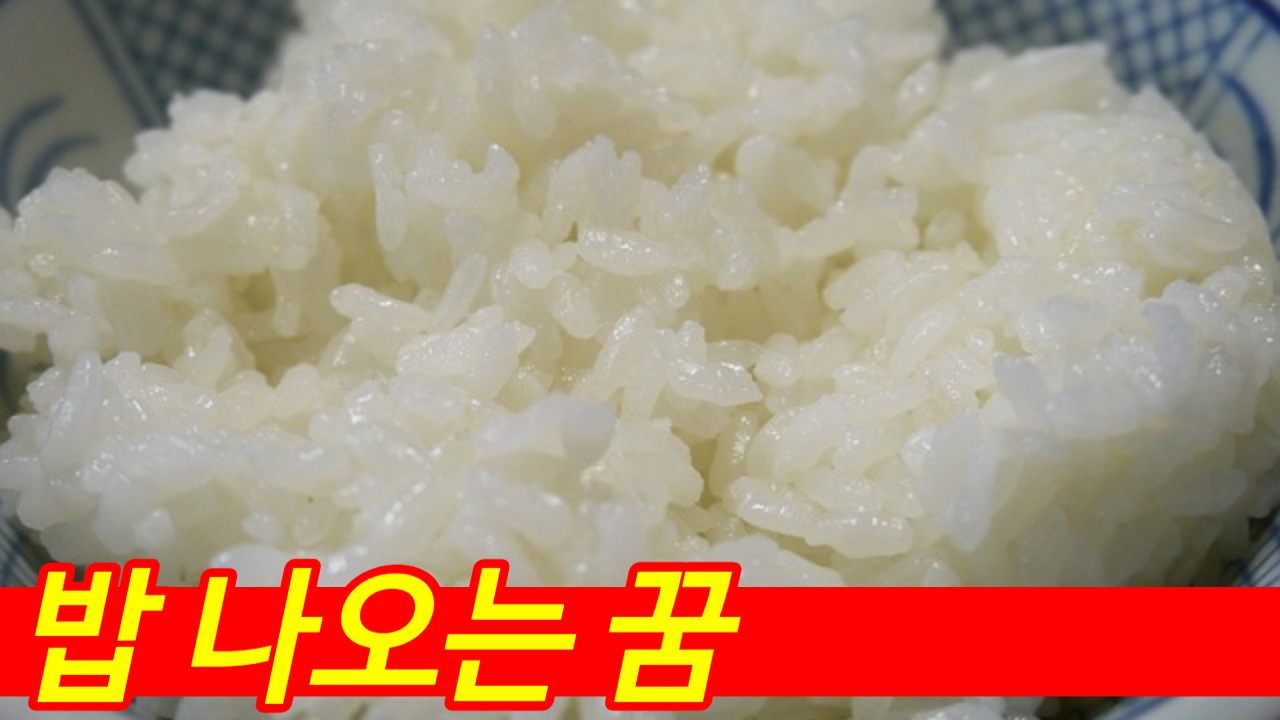 꼬들꼬들 흰밥