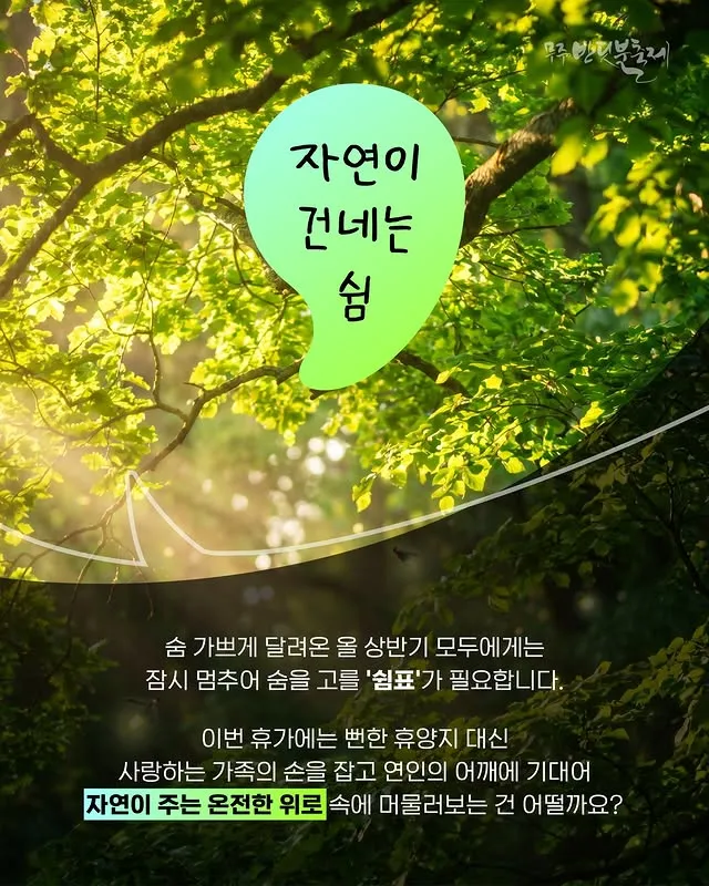 무주 반딧불 축제 살펴보기 2