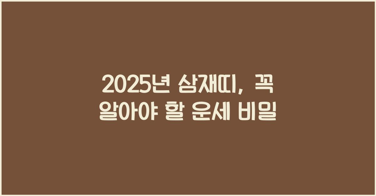 2025년 삼재띠