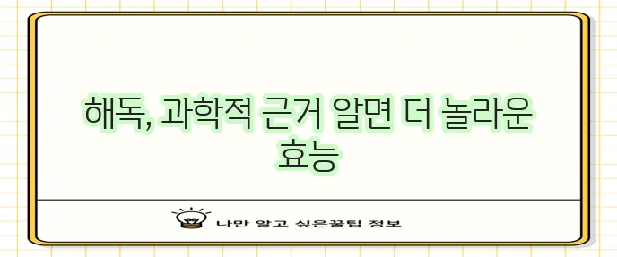 해독에 좋은 음식과 과학적 근거는 분명 중요합니다.