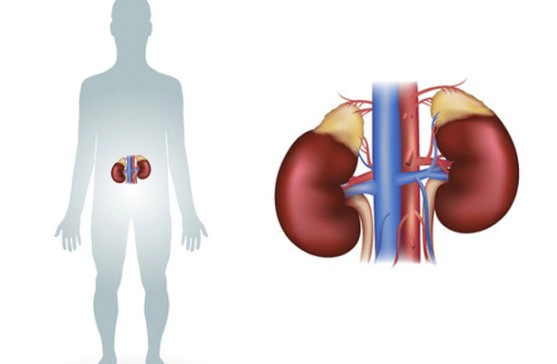 쿠싱증후군 원인